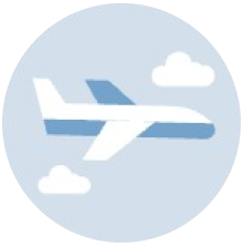 Icon 1